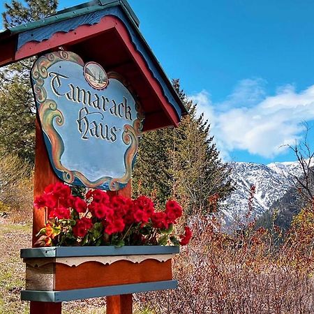 Tamarack Haus Hot Tub And Ev Charging Walk Dtwn! Vila Leavenworth Exterior foto