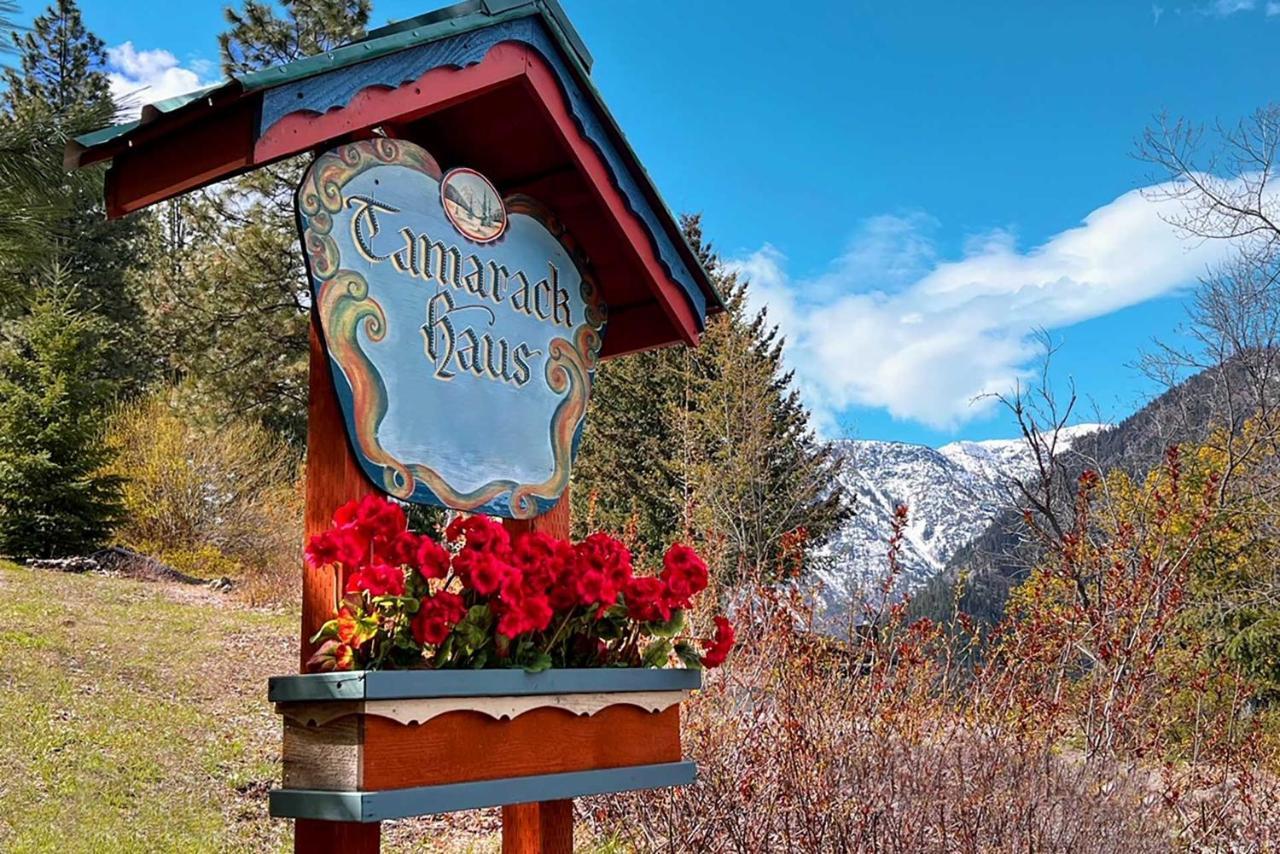 Tamarack Haus Hot Tub And Ev Charging Walk Dtwn! Vila Leavenworth Exterior foto